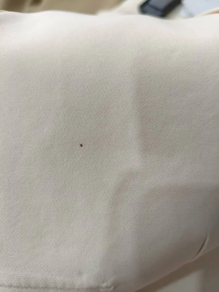 3442 - کت و شلوار ستاره ( ایراد دار)